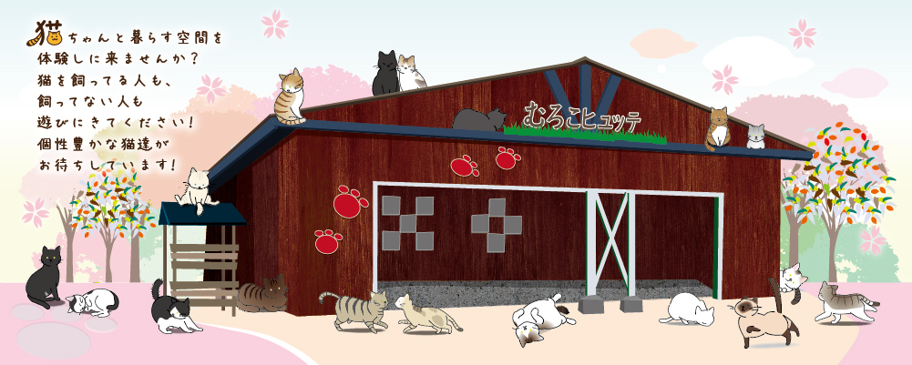 福井県勝山市にある猫カフェ cat village(キャットヴィレッジ)のメイン画像