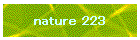 nature 223