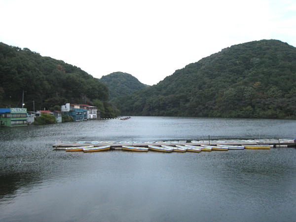 １１月３日 木 祝 寄居町 円良田湖 ワカサギ釣り