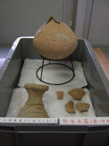 弥生土器･壷･中期。方形周溝墓から出土しました