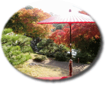 お茶所の赤い傘