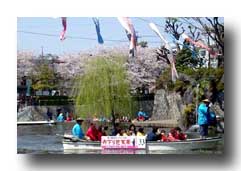 桜の下で舟下り芭蕉祭が行われました