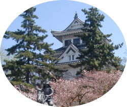 大垣城とおあんの松の写真です